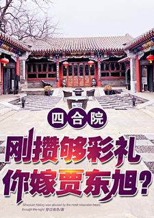 四合院:退伍国医